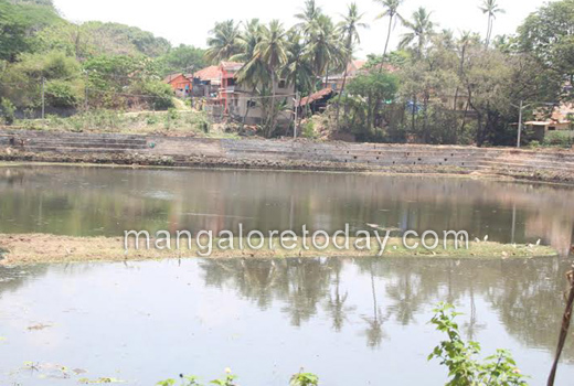 MLA JR Lobo inspects Gujjarakere lake 1